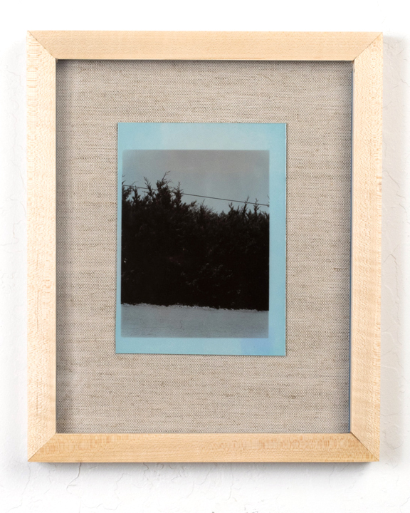 A blue dyed silver gelatin print of a hedge.
