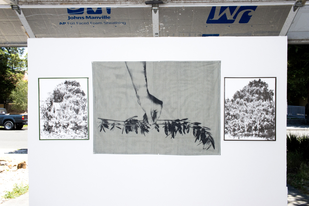 The reverse side of the wall with a large piece of striped fabric screenprinted with an image of a hand holding an olive branch, and two framed screenprints on panels.